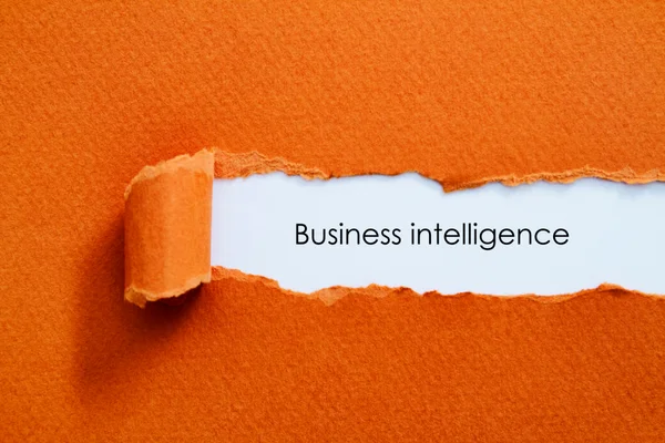 applicazione di business intelligence in un'azienda